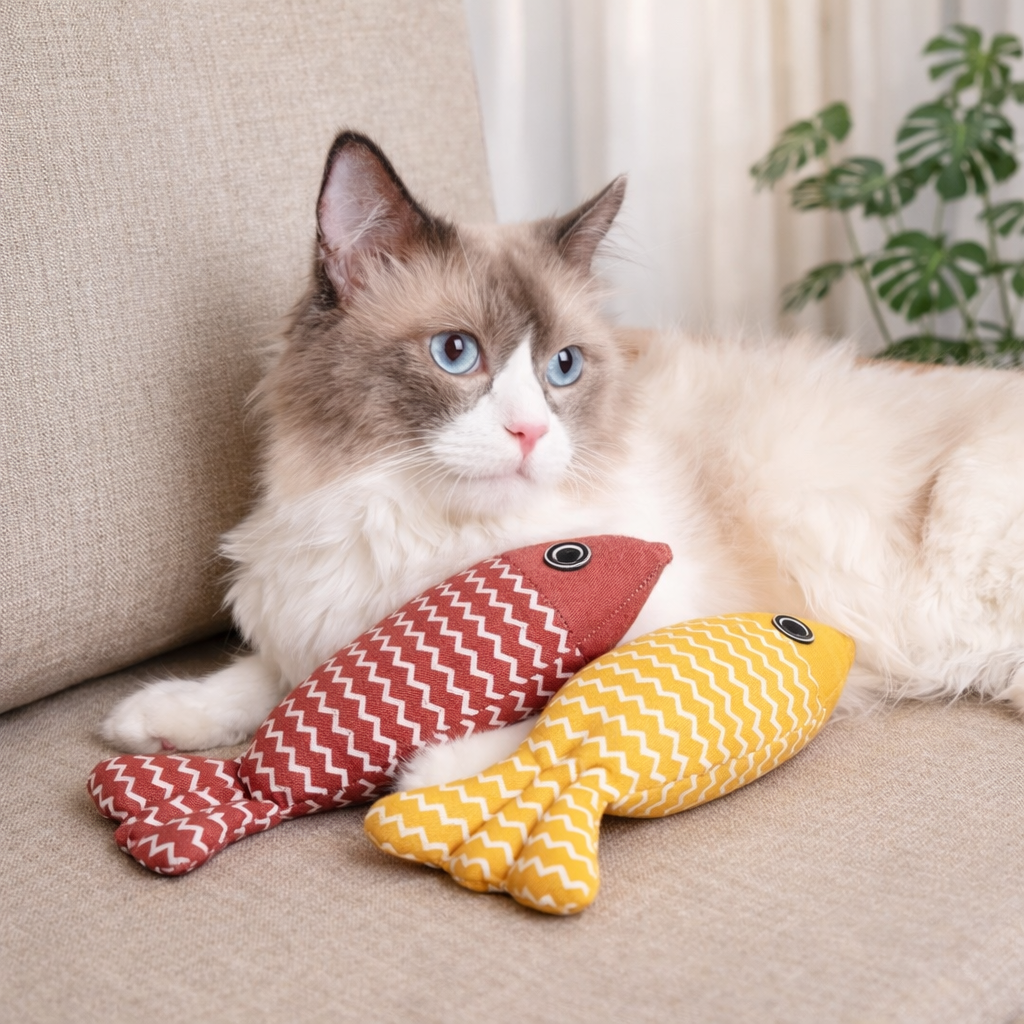 🐟 Jouet Poisson à l’Herbe à Chat – Stimulation ; Jeu pour Petit Félin
